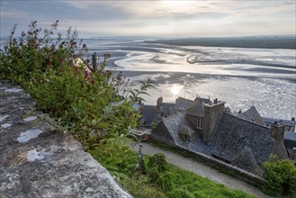 Historic houses of the monastery island Le Mont Saint Michel, behind it mudflats, low tide, shortly