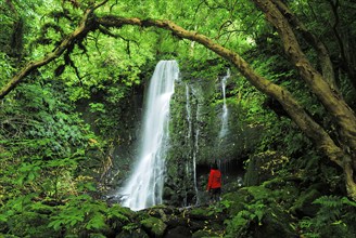 A woman looks at the Matai Falls in New Zealand, Otago, South Island, New Zealand, Oceania