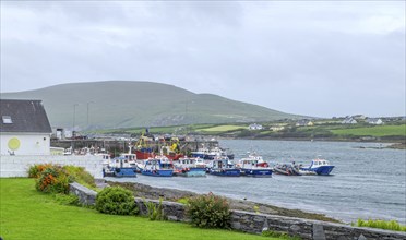 View of the harbour of Portmagee, starting point to the Skellig Islands, west coast, Portmagee,