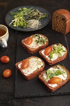 Red beet bread sandwiches with cream cheese, tomatoes and microgreen on black concrete background.