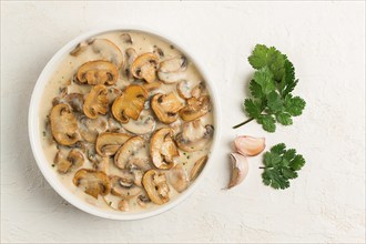 Champignons in creamy garlic sauce, with herbs and spices, gravy, sauce, no people