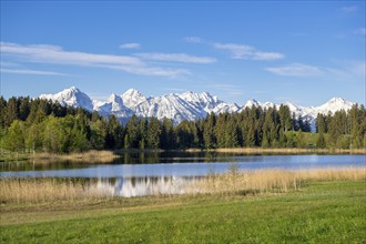 Hegratsrieder See near Füssen, Allgäu Alps, snow, Allgäu, Bavaria, Germany, Europe