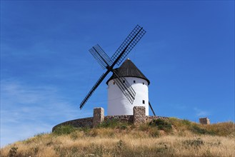 White windmill with black roof on a hill with dry grass under a deep blue sky, Alcazar de San Juan,