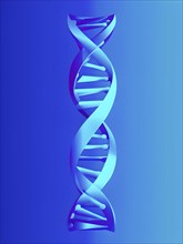 DNA double helix structure against gradient blue background, AI generated