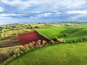 Fields and Farms over Torquay from a drone, Devon, England, United Kingdom, Europe