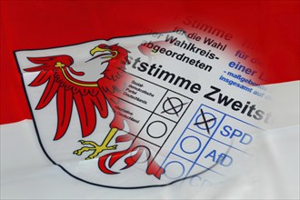 Landtagswahl in Brandenburg, Deutschland: Symbolischer Stimmzettel auf der Flagge des Landes