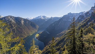 Panoramic view of the Königssee from the Archenkanzel viewpoint, autumnal forest and snow-capped