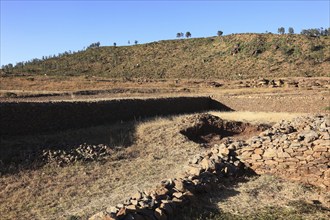 Ruins of the palace of the Queen of Sheba near Axum, Aksum, Dongur Palace, Ethiopia, Africa