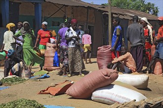 South Ethiopia, market in Jinka, trade with hop leaves, market scene, Ethiopia, Africa