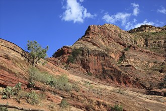 Landscape at the Abraha Atsbeha rock church, Abreha wa Atsbeha monastery, Ethiopia, Africa