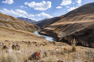 Mountain valley with river between golden meadows, Bolgart Valley, Naryn Province, Kyrgyzstan, Asia