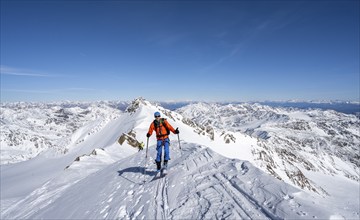 Ski tourers on a mountain ridge, summit of Monte Cevedale, mountain panorama, southern Zufallspitze