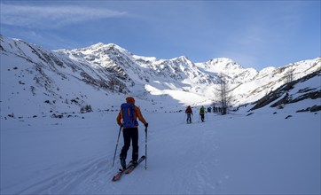 Ski tourers in Val Martello, snow-covered mountain landscape, Monte Cevedale mountain peak in the