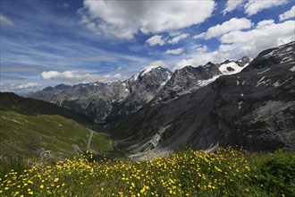 Panoramic view of mountains in summer, Stelvio pass, Stelvio National Park, Stelvio, South Tyrol,