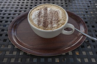 Cappuccino with cocoa powder, Bavaria, Germany, Europe