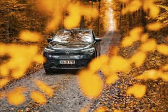 A car stands on a road, framed by orange-coloured leaves in the forest, electric car, VW ID 5,