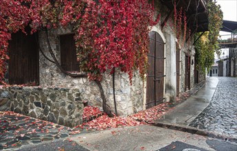 Neighbourhood with traditional houses at the village of kalopanagiotis in autumn in cyprus