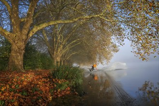 Essen, North Rhine-Westphalia, Germany, Golden autumn on Lake Baldeney. Wakeboarder in the morning