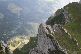 Green valley in the Swiss Alps