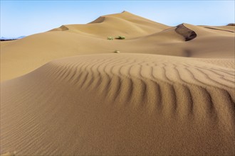 Erg Chebbi, sand desert of Merzouga, southeast of Morocco. Popular destination for travellers.