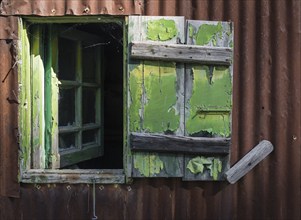 Open broken green wooden window on a metal brown wall from an abandoned deserted house