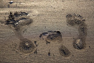 Imprint in the sand by the feet of the family with mother, father and child