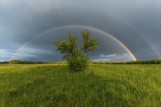 Appearance of a double rainbow in front of a late afternoon storm. Alsace, France, Europe