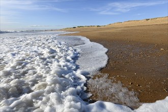 Sea foam on the beautiful sand Atlantic ocean beach in France