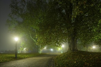 Dresden's Old Town shrouded in November fog. Brühlscher Garten, Foggy atmosphere in Dresden,