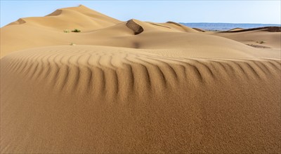 Erg Chebbi, sand desert of Merzouga, southeast of Morocco. Popular destination for travellers.