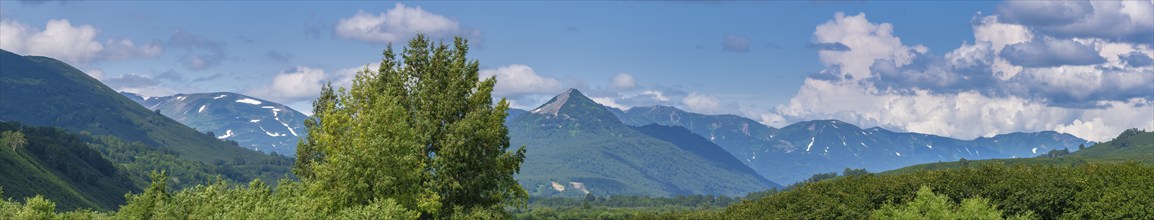 Panoramic view of beautiful summer mountain landscape and green forest on hills on sunny weather