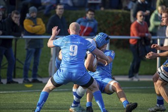 09.11.2024, Rugby 1st Bundesliga South/West, Season 2024/25, Matchday 7: TSV Handschuhsheim vs