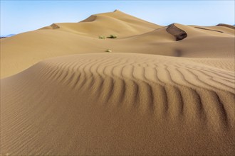 Erg Chebbi, sand desert of Merzouga, southeast of Morocco. Popular destination for travellers.