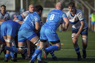 09.11.2024, Rugby 1st Bundesliga South/West, Season 2024/25, Matchday 7: TSV Handschuhsheim vs