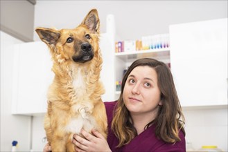 Doctor at the veterinary clinic hugging a beautiful dog