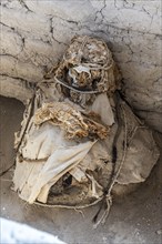 Mummy in the Cemetery of Chauchilla, Chauchilla Cemetery, Nazca, Peru, South America