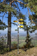 Various hiking signposts on the Raichberg on the Albtrauf, Onstmettingen, Zollernalbkreis,