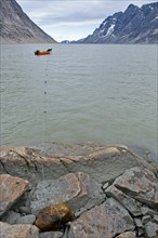 Inuit hunter sets net in fjord, near Inuit settlement Tiniteqilaaq or Greenlandic Tiilerilaaq,