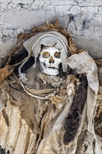 Mummy in the Cemetery of Chauchilla, Chauchilla Cemetery, Nazca, Peru, South America