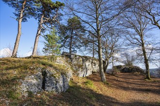 Hangender Stein natural monument, a rock formation on the 956, 5 metre-high Raichberg on the