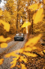 A car drives through an autumnal forest, framed by orange leaves, electric car, VW ID 5, Gechingen,