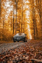 A car on a leaf-covered road in an autumn forest, electric car, VW ID 5, Gechingen, Black Forest,