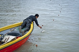 Inuit hunter retrieving fish from a net, near Inuit settlement Tiniteqilaaq or Greenlandic