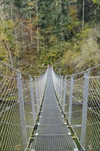 A pedestrian suspension bridge opened in 2019 crosses the Danube in Inzigkofen Princely Park,