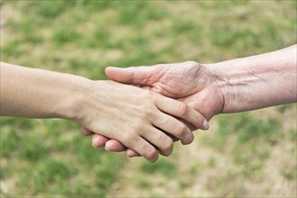 Young and old hands doing handshake