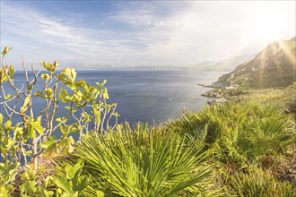 Beautiful bay in the Mediterranean with vegetation in the foreground and scenic sunbeams