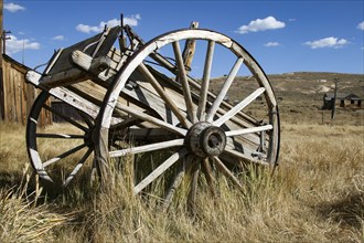 Remains of a horse and cart from the time of the settlers