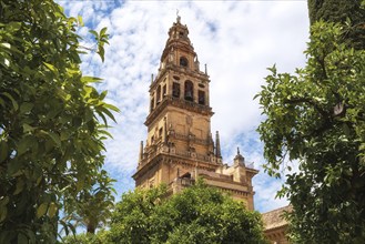 Bell Tower Torre de Alminar of the Mezquita Cathedral The Great Mosque in Cordoba, Spain, Europe