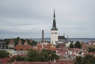 Tallinn Estonia cityscape and Saint Olaf Church in the old city of Tallin Europe