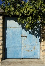 Blue metal closed door at the entrance of a house with fig tree. Home facade, House safety